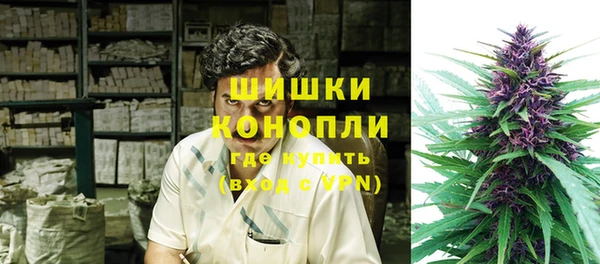 дживик Богородск