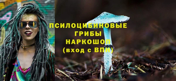 дживик Богородск