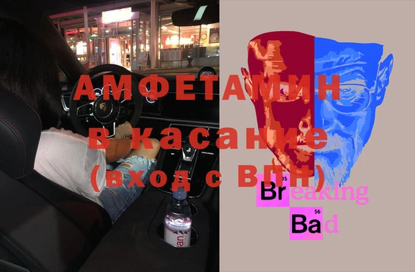 шишки Богородицк