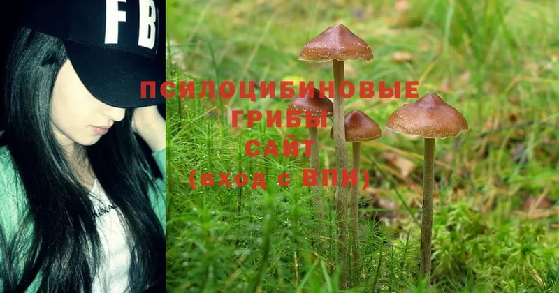 что такое наркотик  дарк нет официальный сайт  Псилоцибиновые грибы Psilocybe  Горнозаводск 